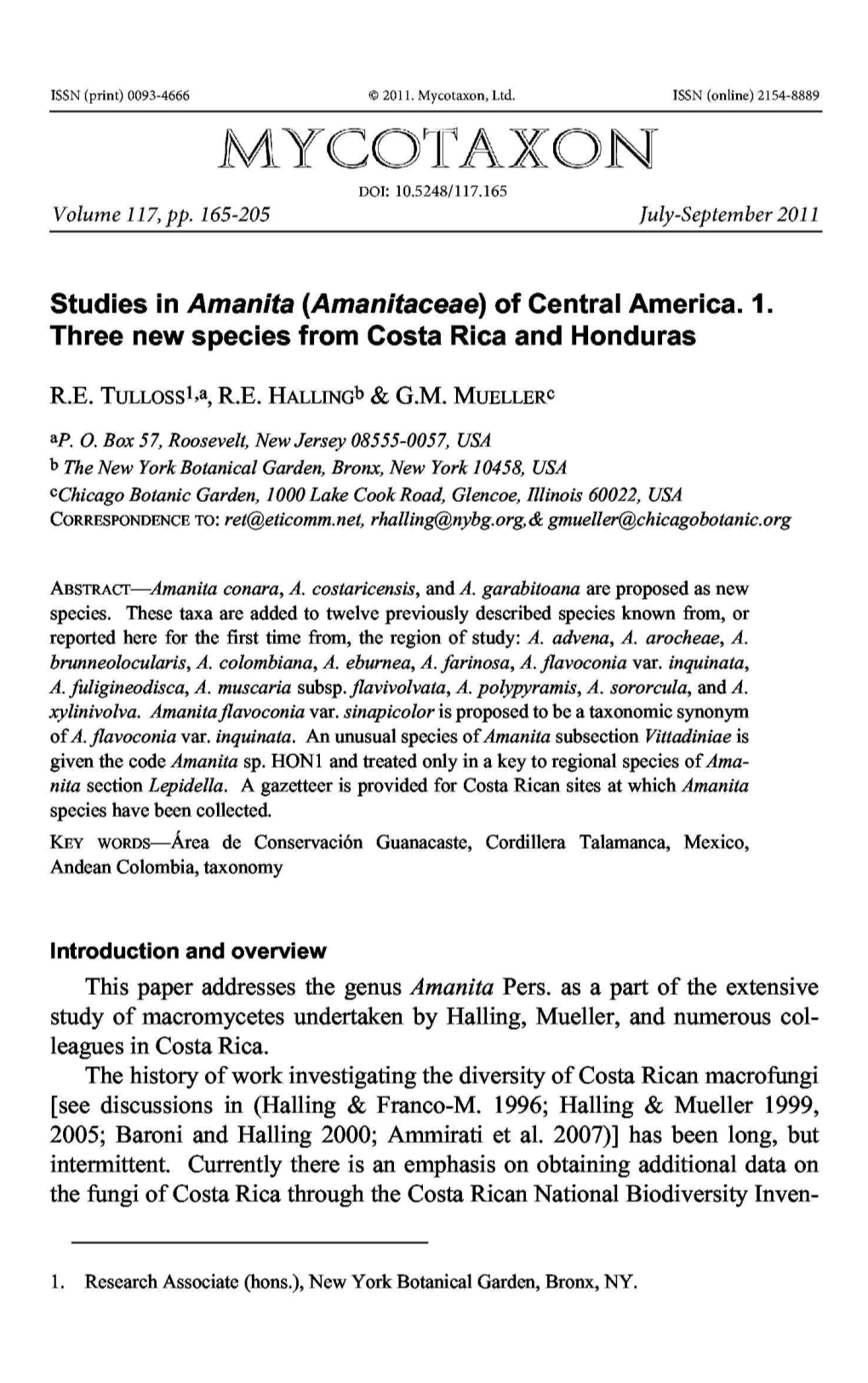 Amanita (Amanitaceae)&lt;/I&gt; of Central America. 1. Three New Species From