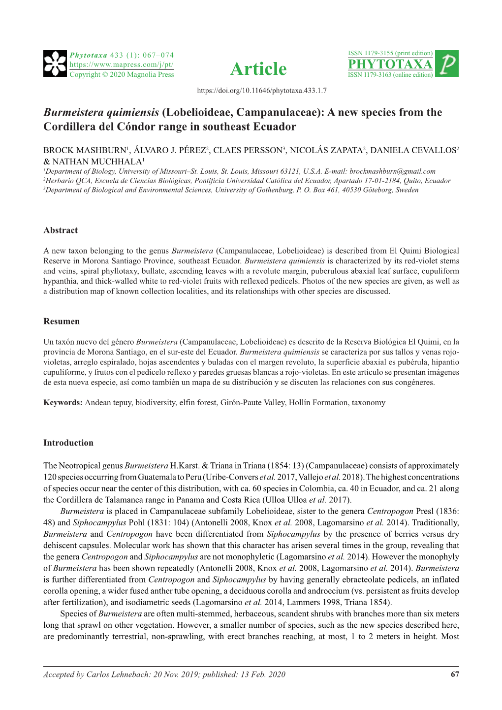 Burmeistera Quimiensis (Lobelioideae, Campanulaceae): a New Species from the Cordillera Del Cóndor Range in Southeast Ecuador