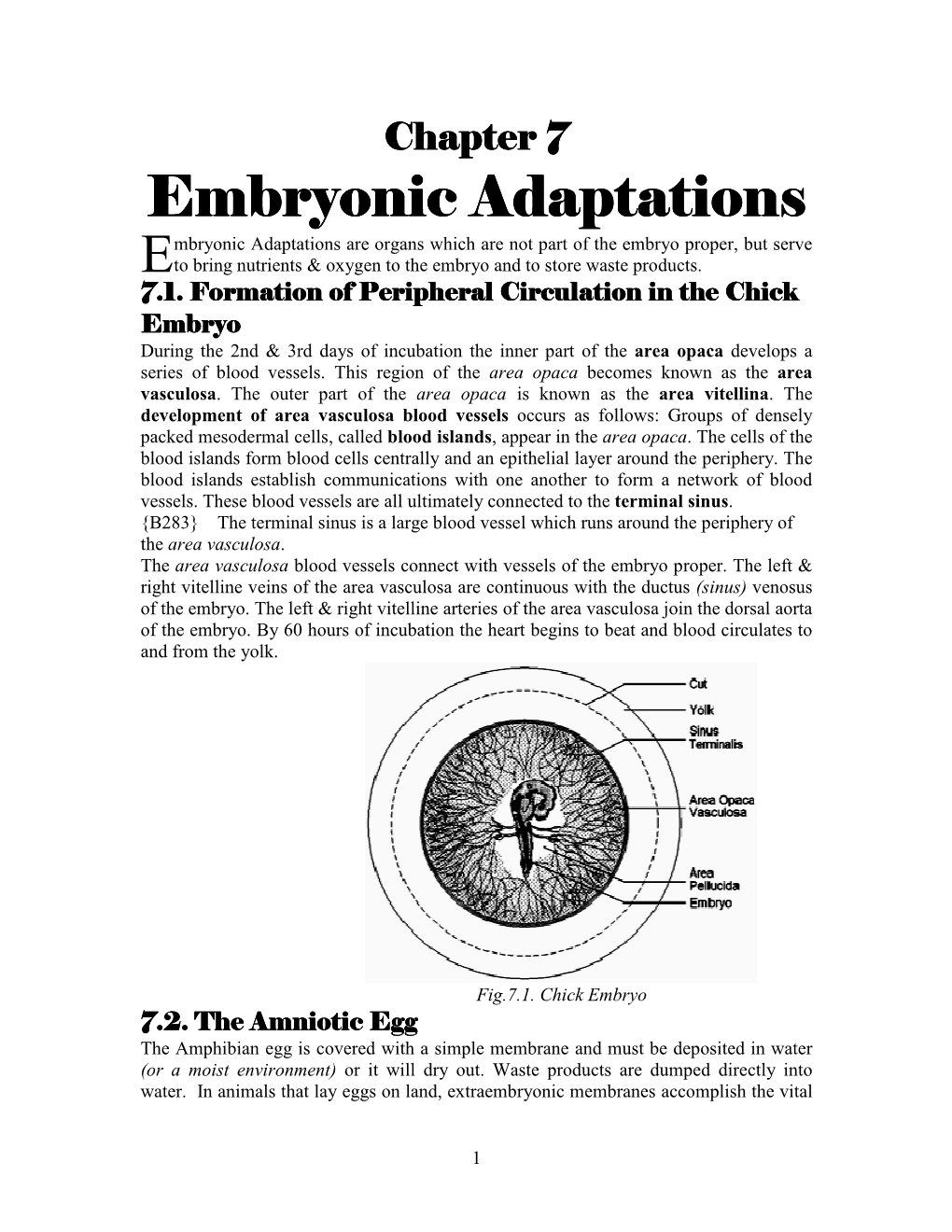 Embryonic Adaptations