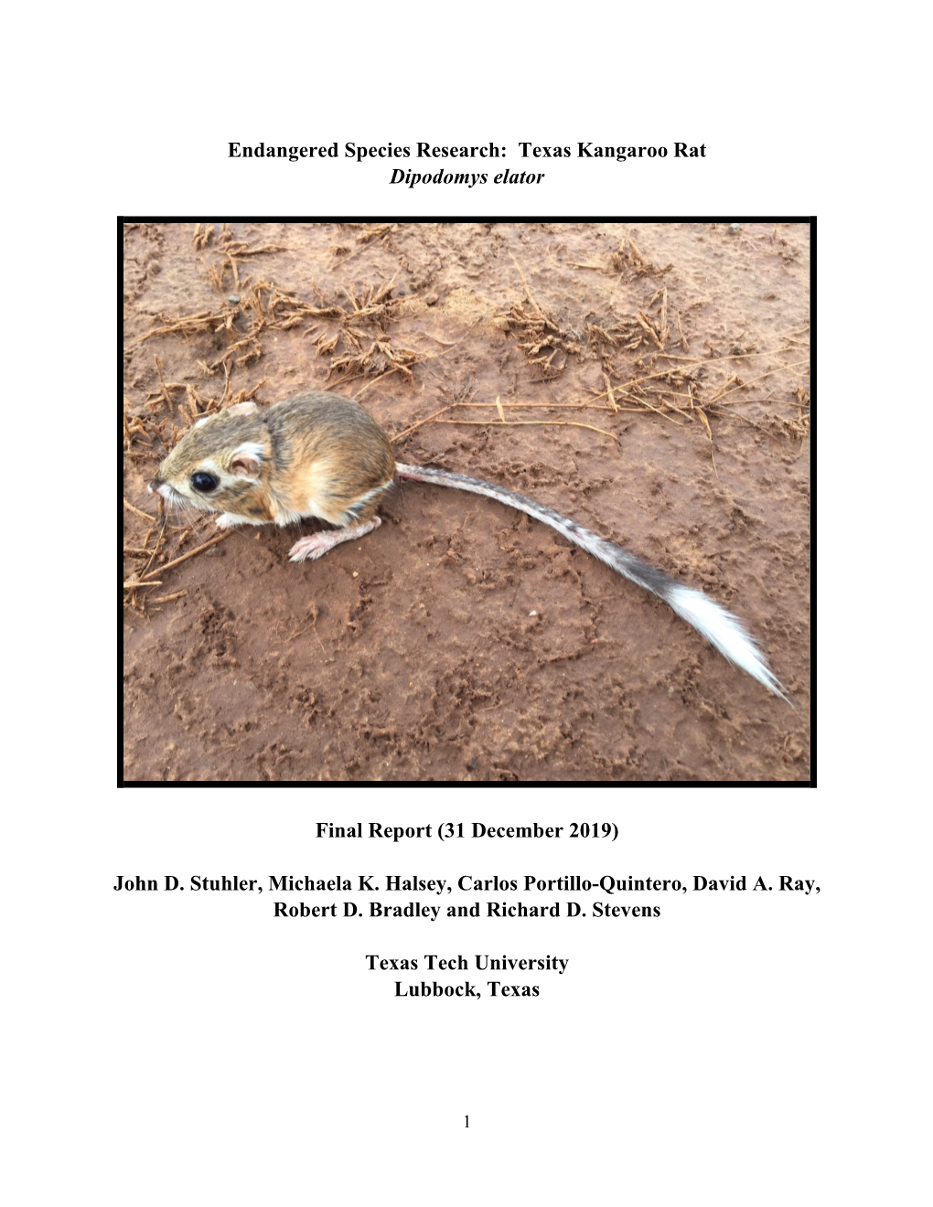 Endangered Species Research: Texas Kangaroo Rat Dipodomys Elator Final Report (31 December 2019) John D. Stuhler, Michaela K. H