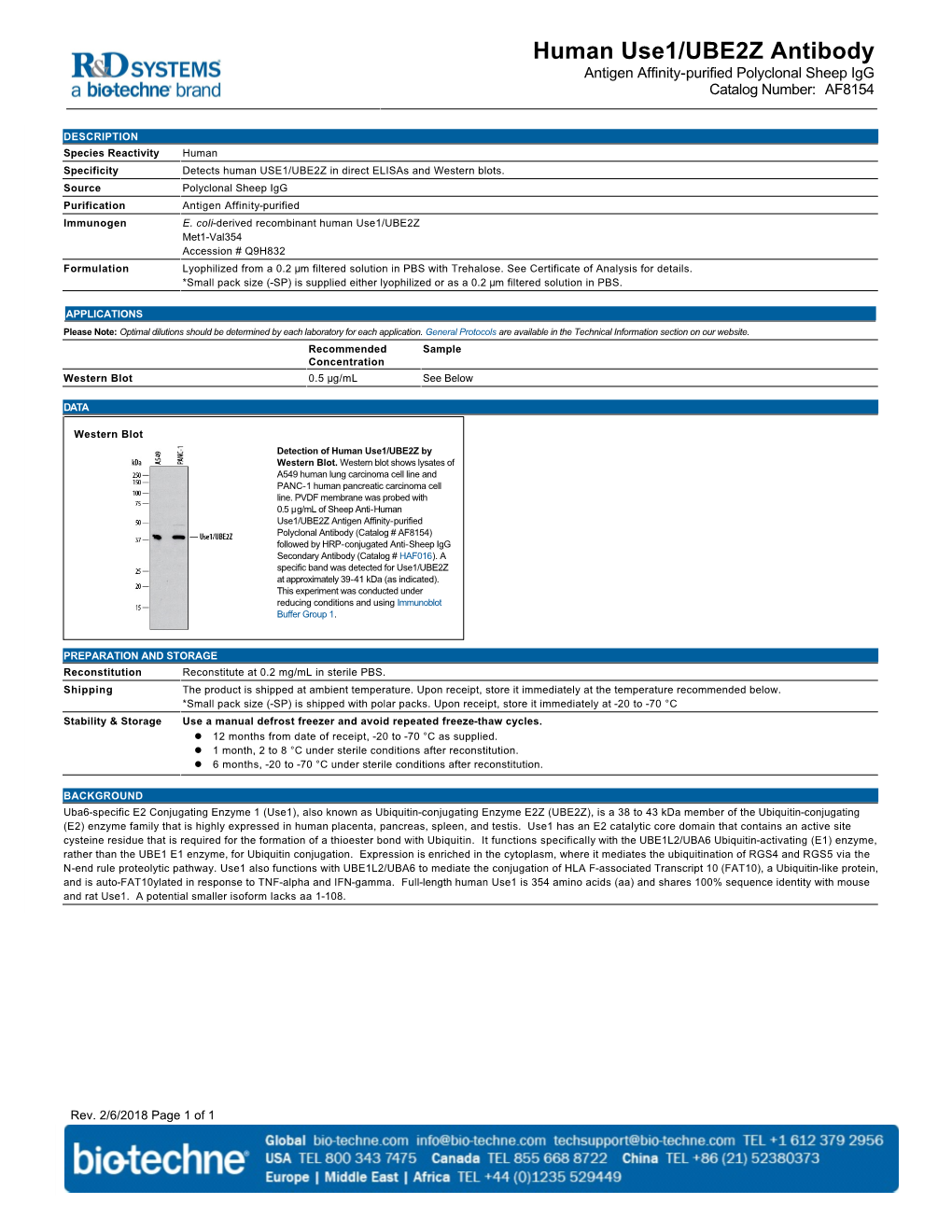 Human Use1/UBE2Z Antibody Antigen Affinity-Purified Polyclonal Sheep Igg Catalog Number: AF8154