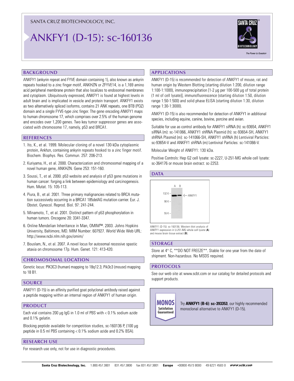 Datasheet Blank Template