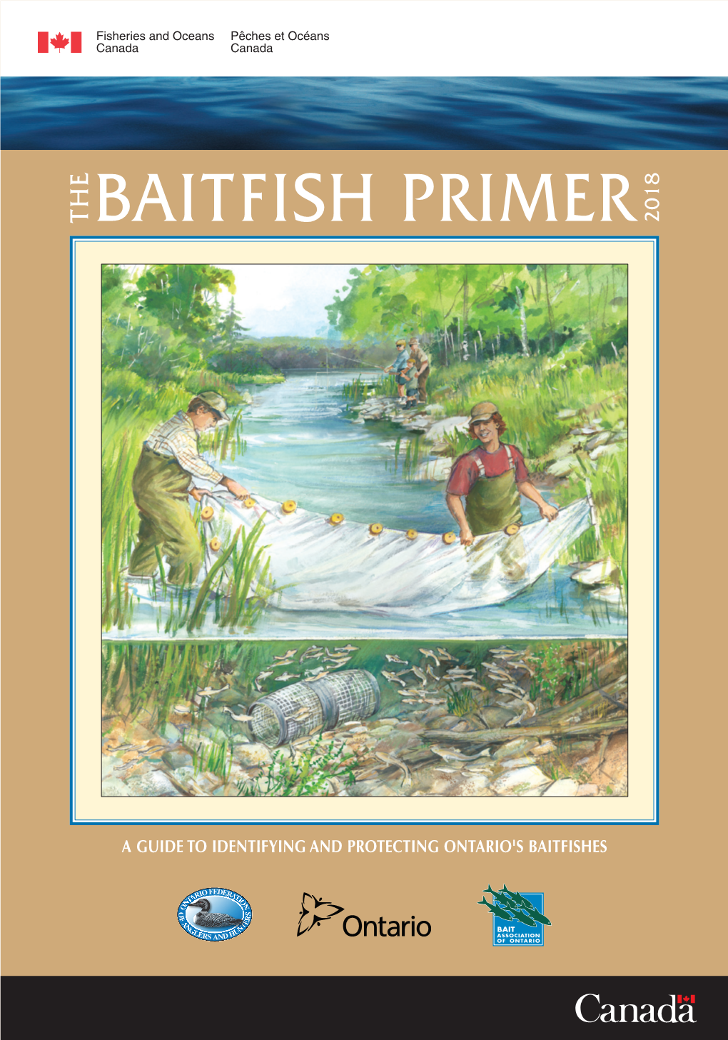 Baitfish Primer