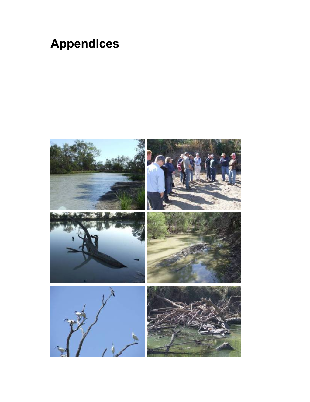 Managing Environmental Flows in an Agricultural Landscape: the Lower Gwydir Floodplain