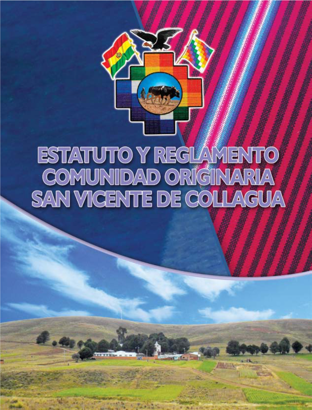 Estatuto Y Reglamento Orgánico Comunidad Originaria San Vicente