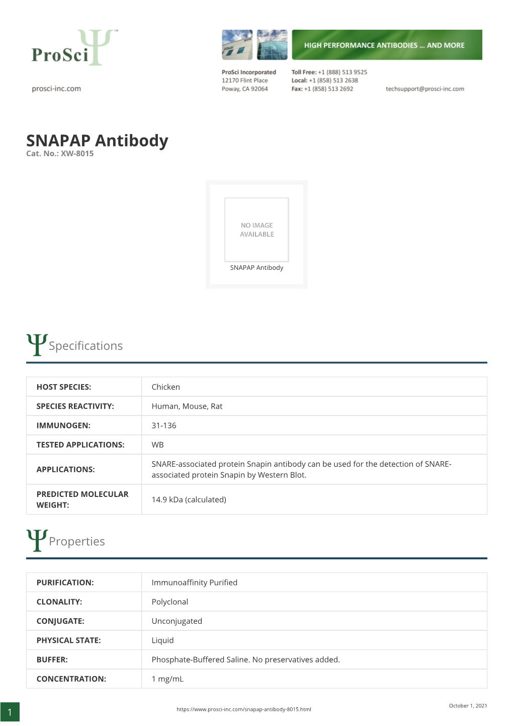 SNAPAP Antibody Cat