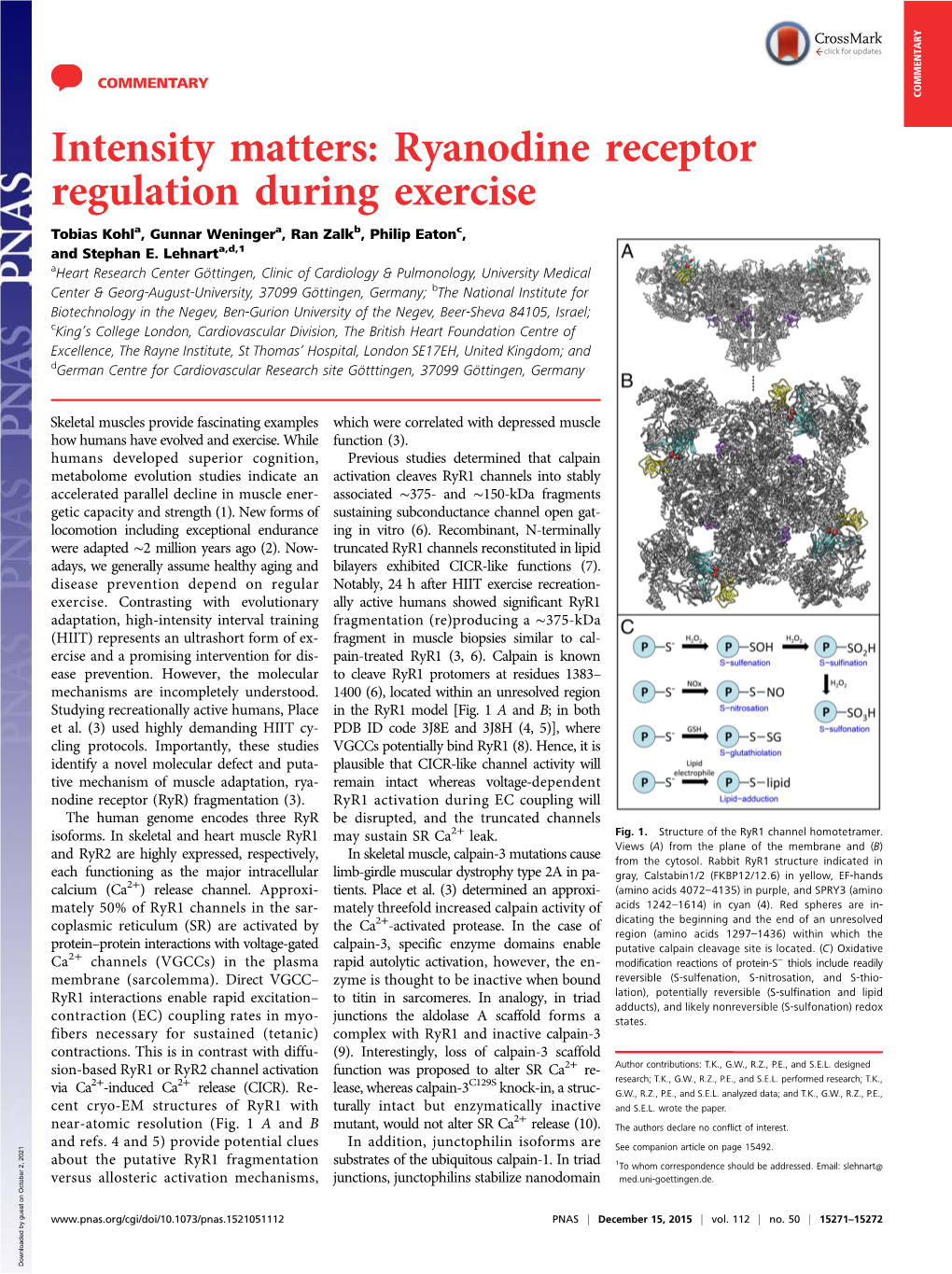 Ryanodine Receptor Regulation During Exercise Tobias Kohla, Gunnar Weningera, Ran Zalkb, Philip Eatonc, and Stephan E