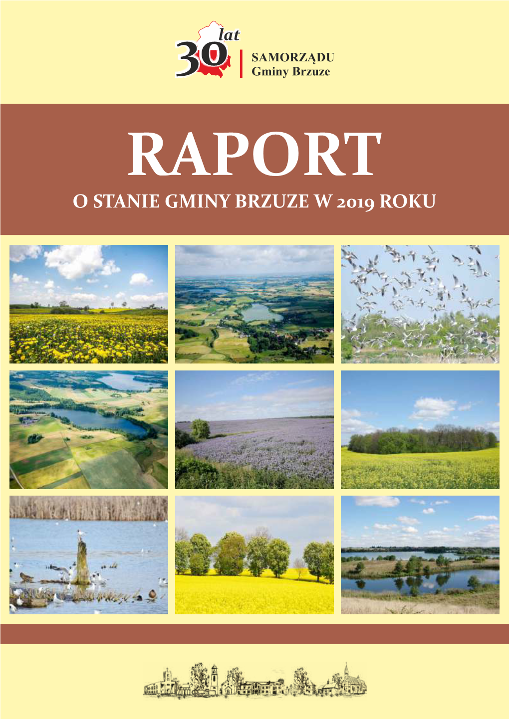 O STANIE GMINY BRZUZE W 2019 ROKU Raport O Stanie Gminy Brzuze W 2019 R