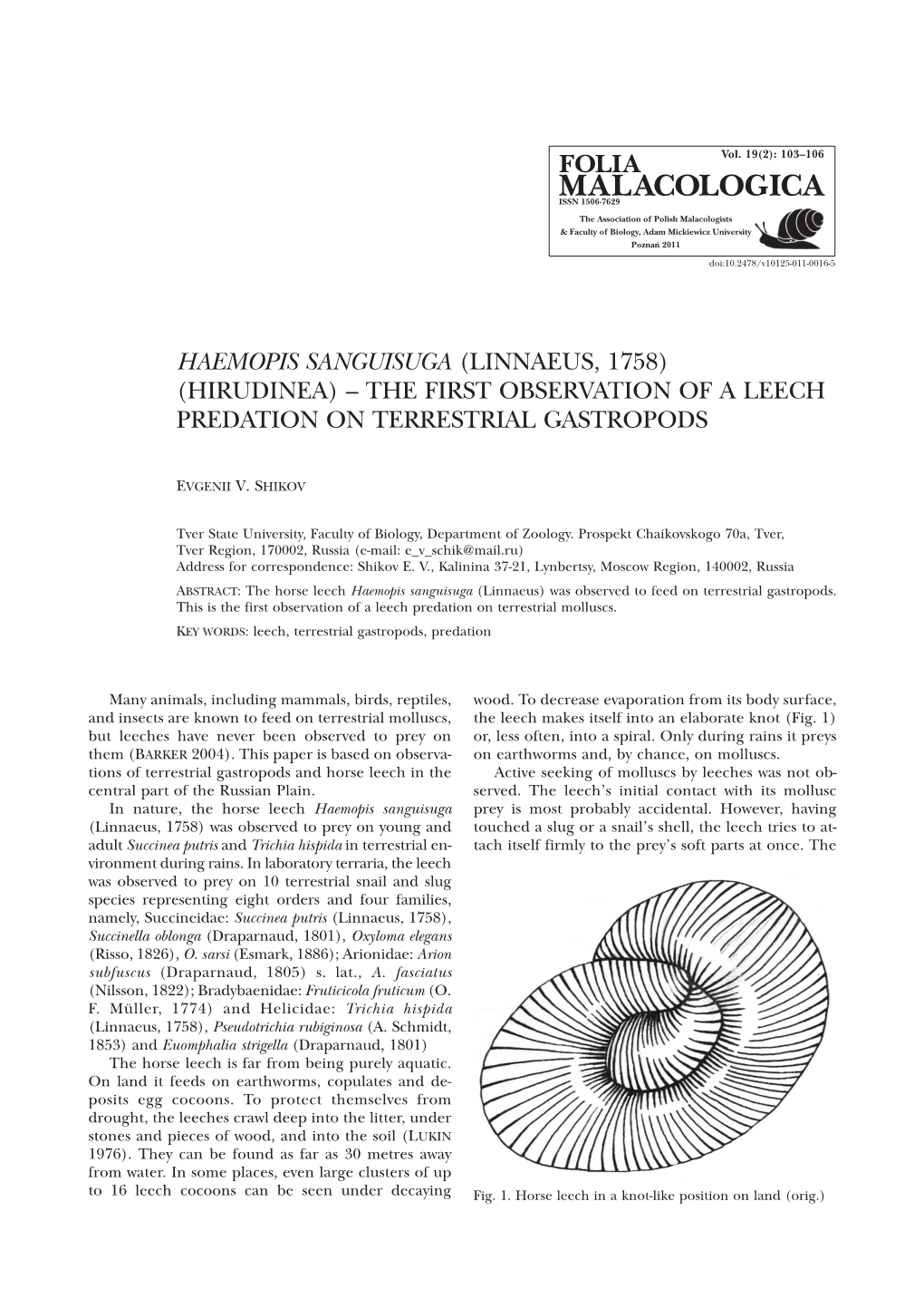 Haemopis Sanguisuga (Linnaeus, 1758) (Hirudinea) – the First Observation of a Leech Predation on Terrestrial Gastropods