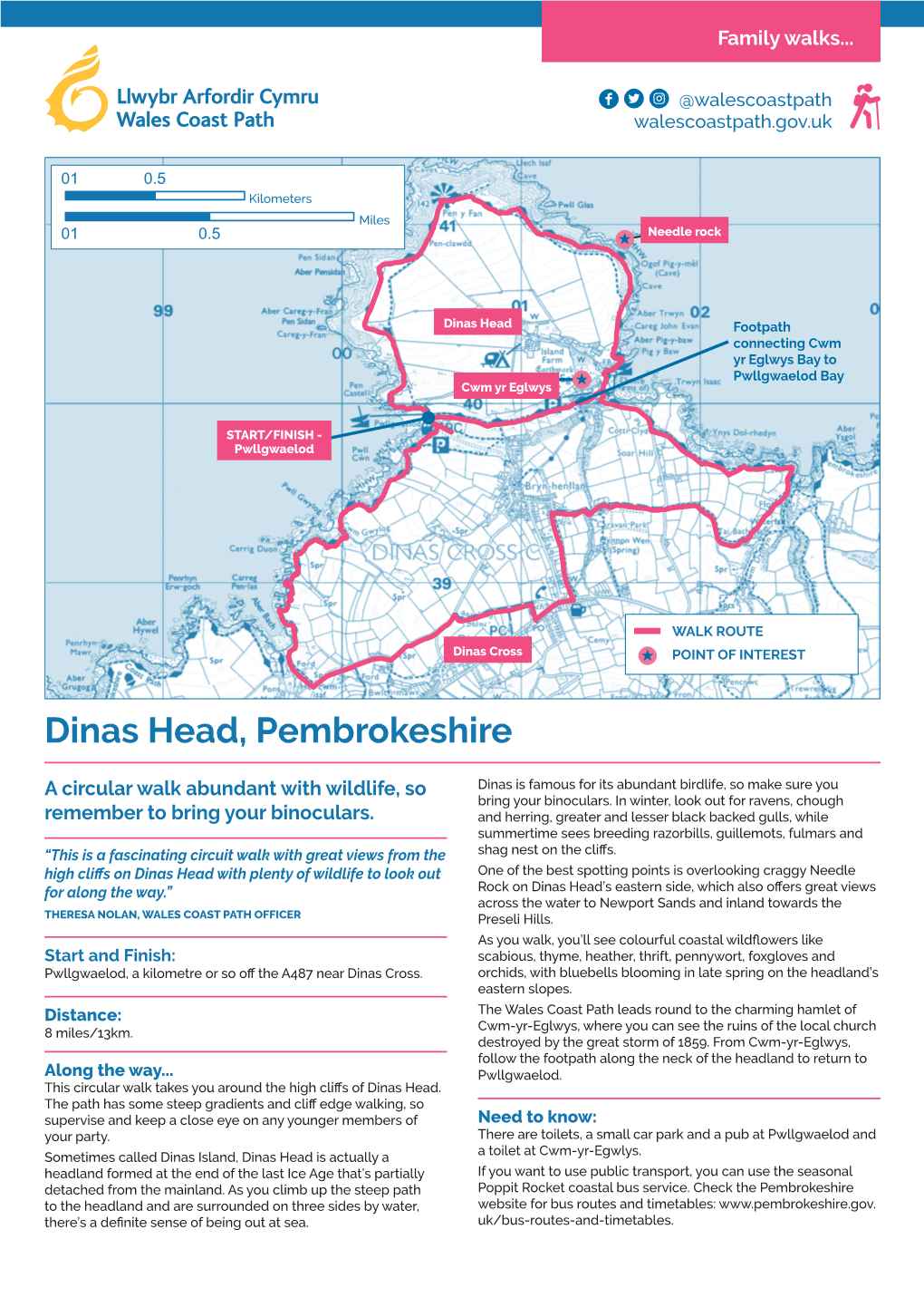 Dinas Head, Pembrokeshire