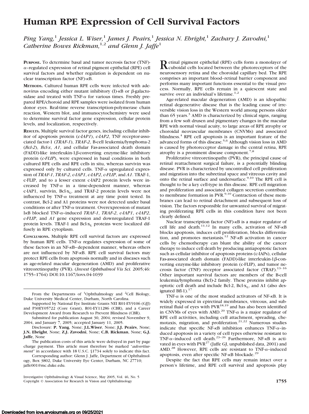 Human RPE Expression of Cell Survival Factors