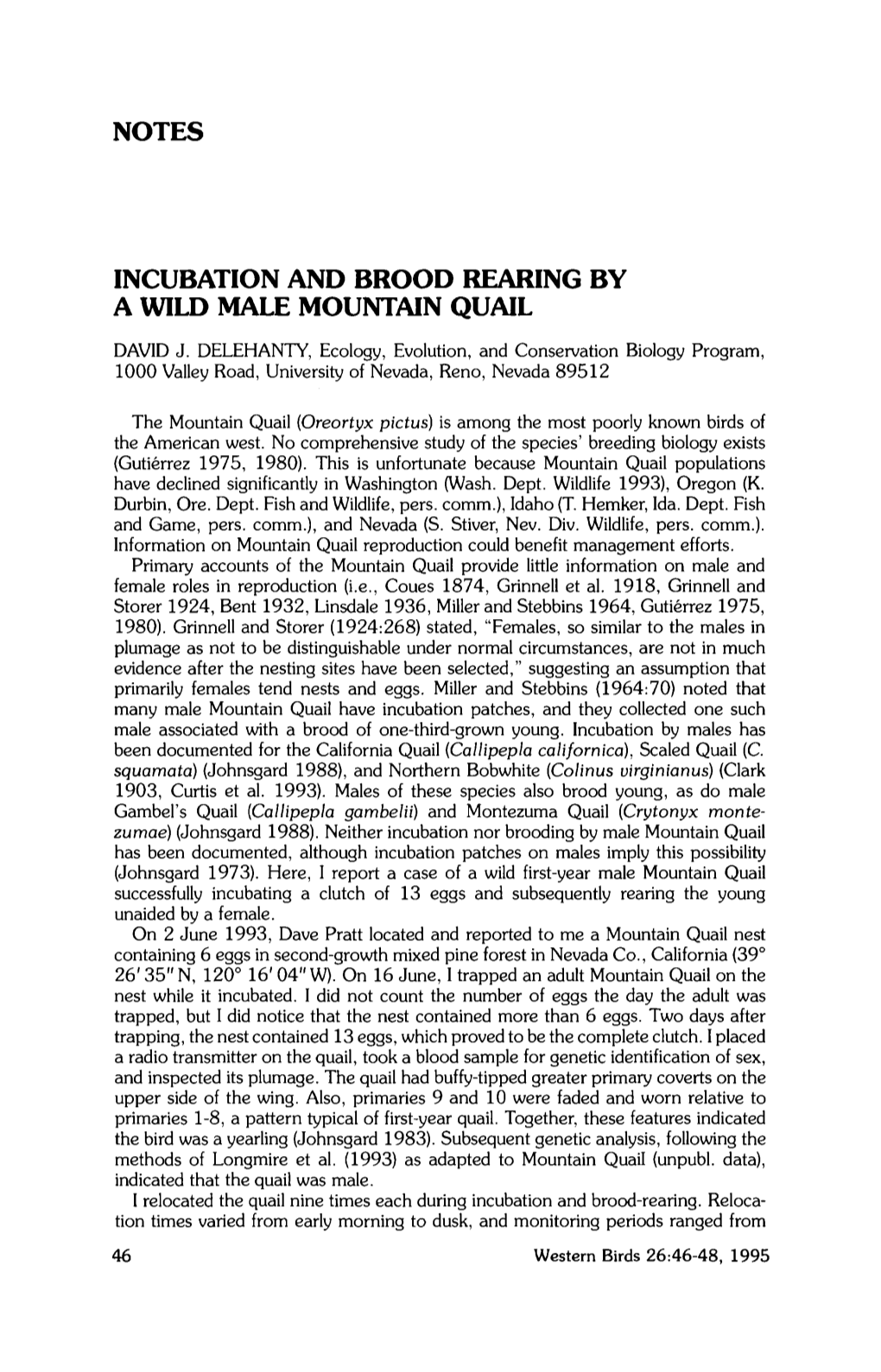 Incubation and Brood Rearing by a Wild Male Mountain Quail