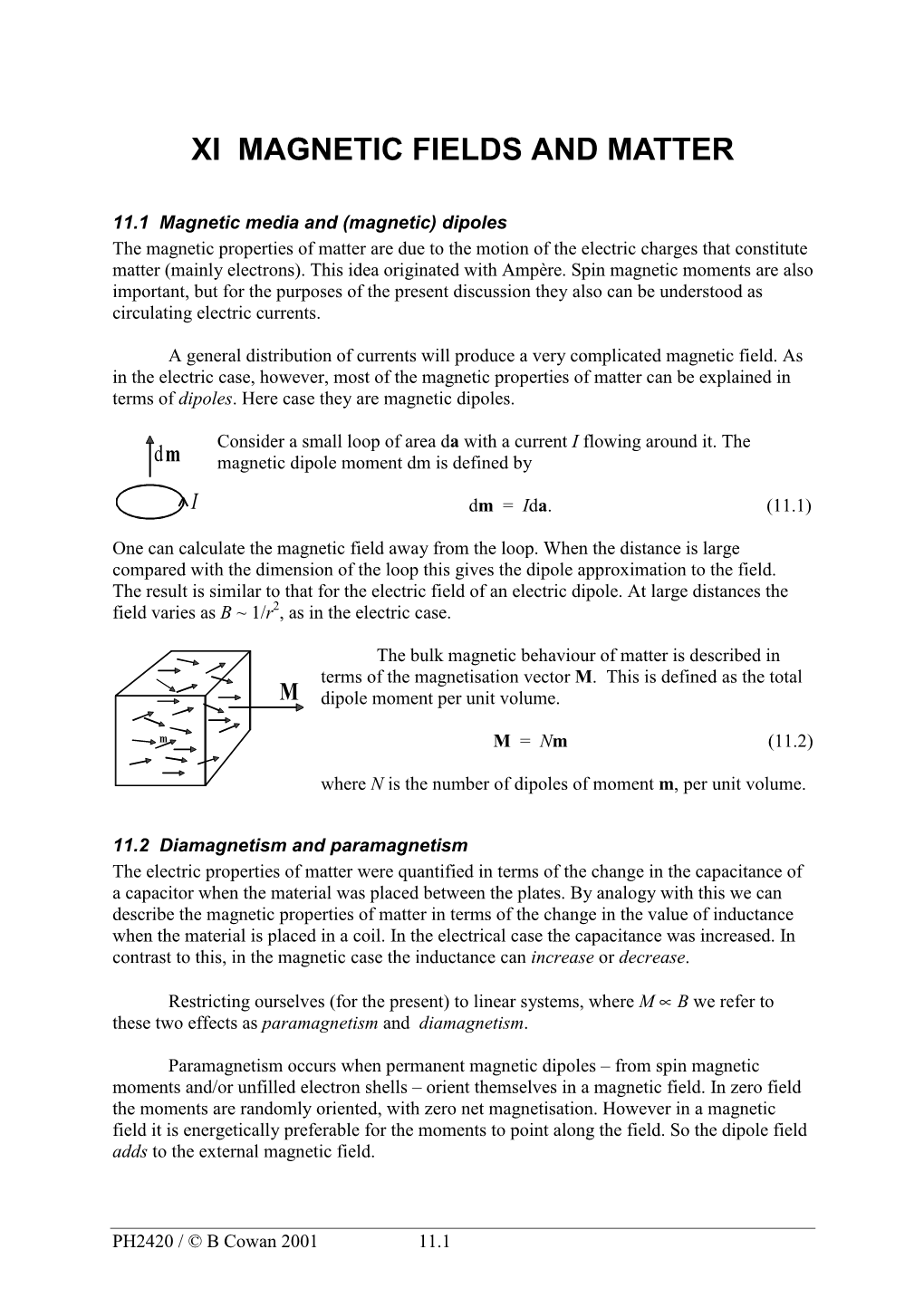 Xi Magnetic Fields and Matter