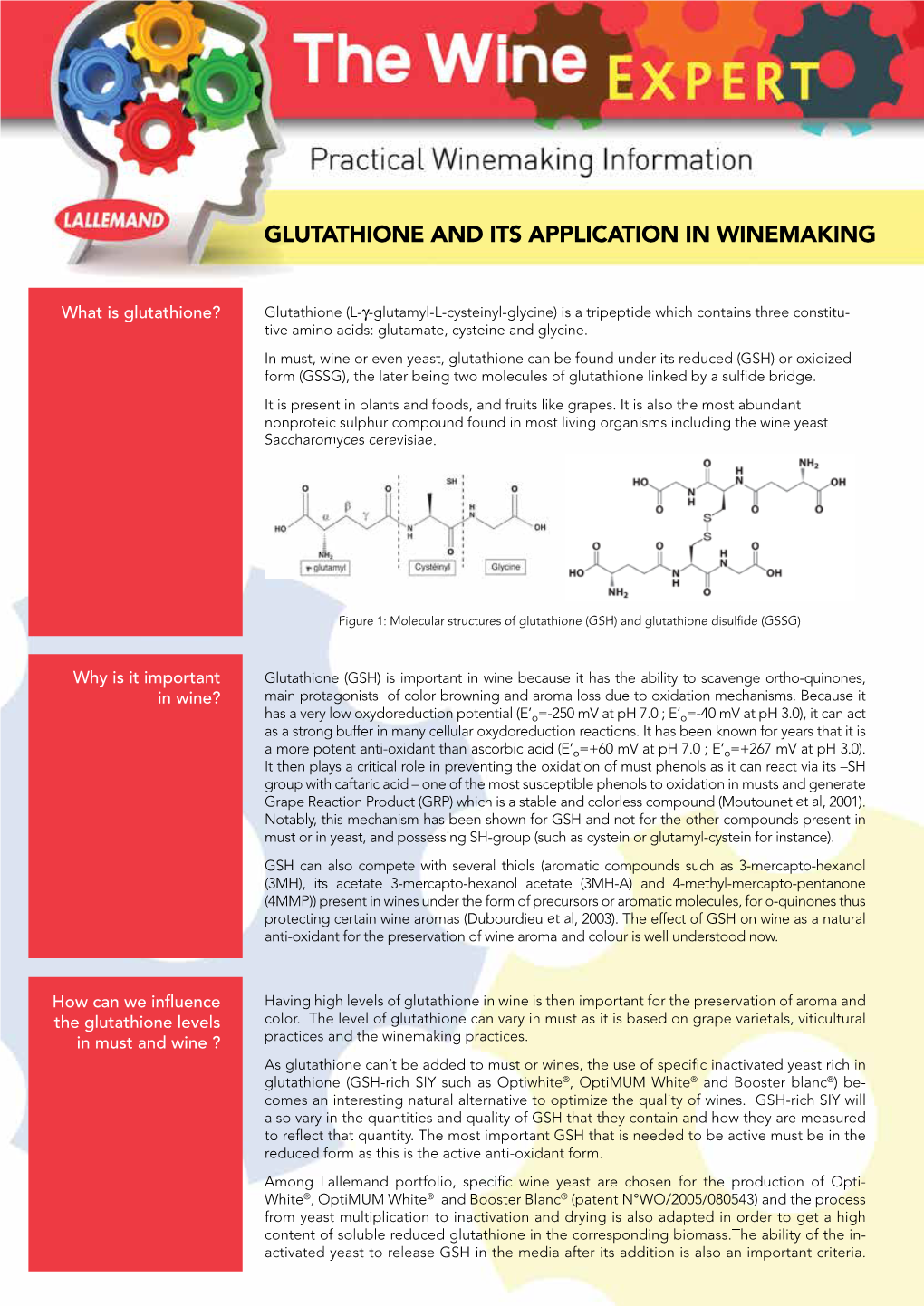 Glutathione and Its Application in Winemaking