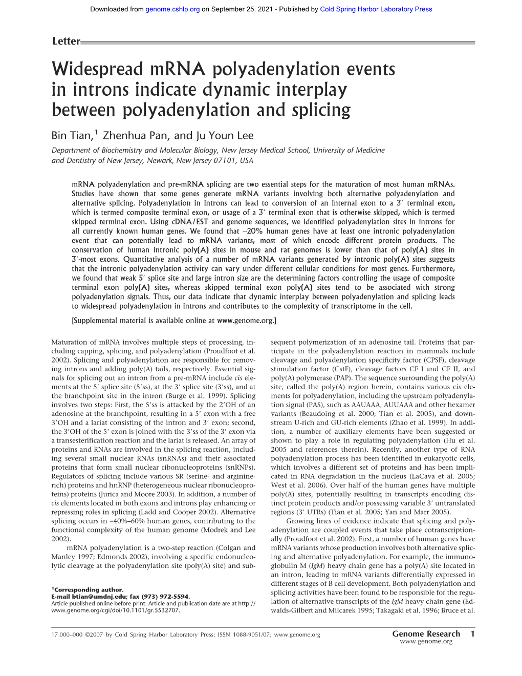 Widespread Mrna Polyadenylation Events in Introns Indicate Dynamic Interplay Between Polyadenylation and Splicing