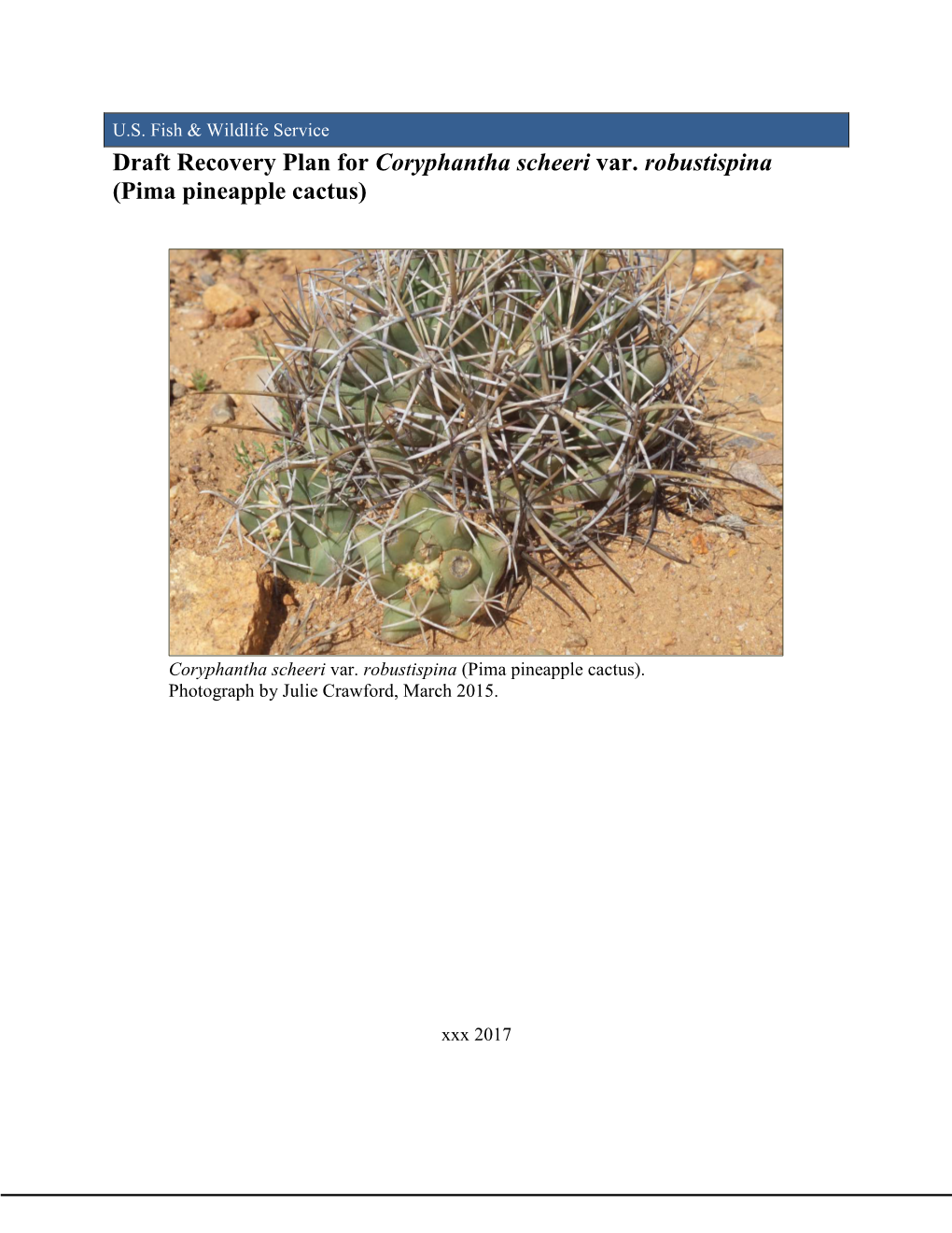 Draft Recovery Plan for Coryphantha Scheeri Var. Robustispina (Pima Pineapple Cactus)