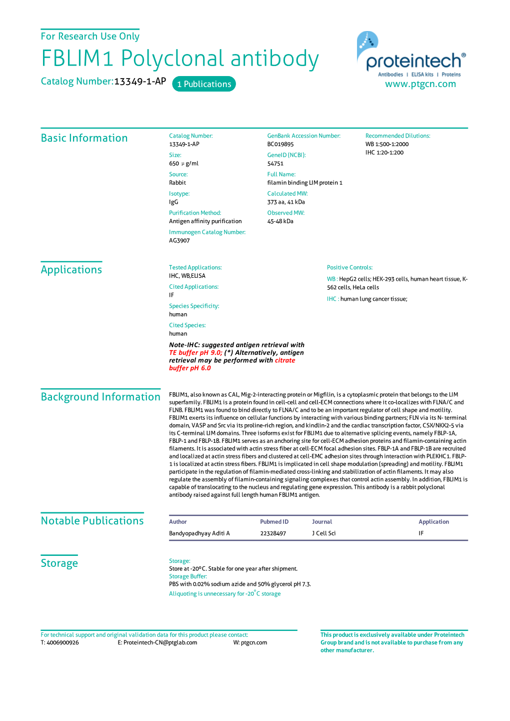 FBLIM1 Polyclonal Antibody