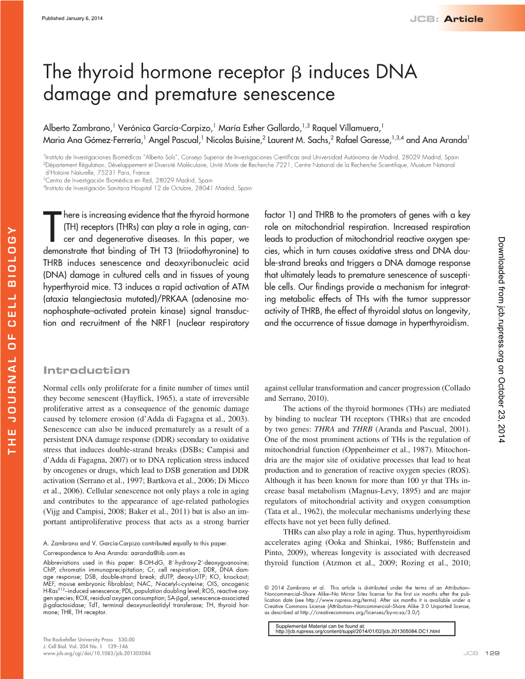 The Thyroid Hormone Receptor Induces DNA Damage and Premature