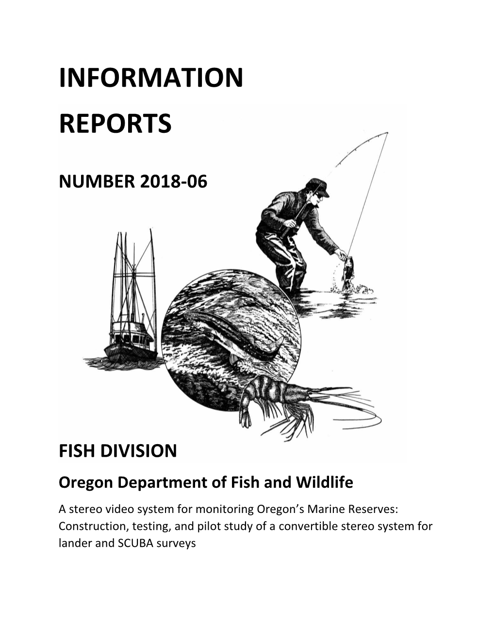 Information Report Number 2018-06