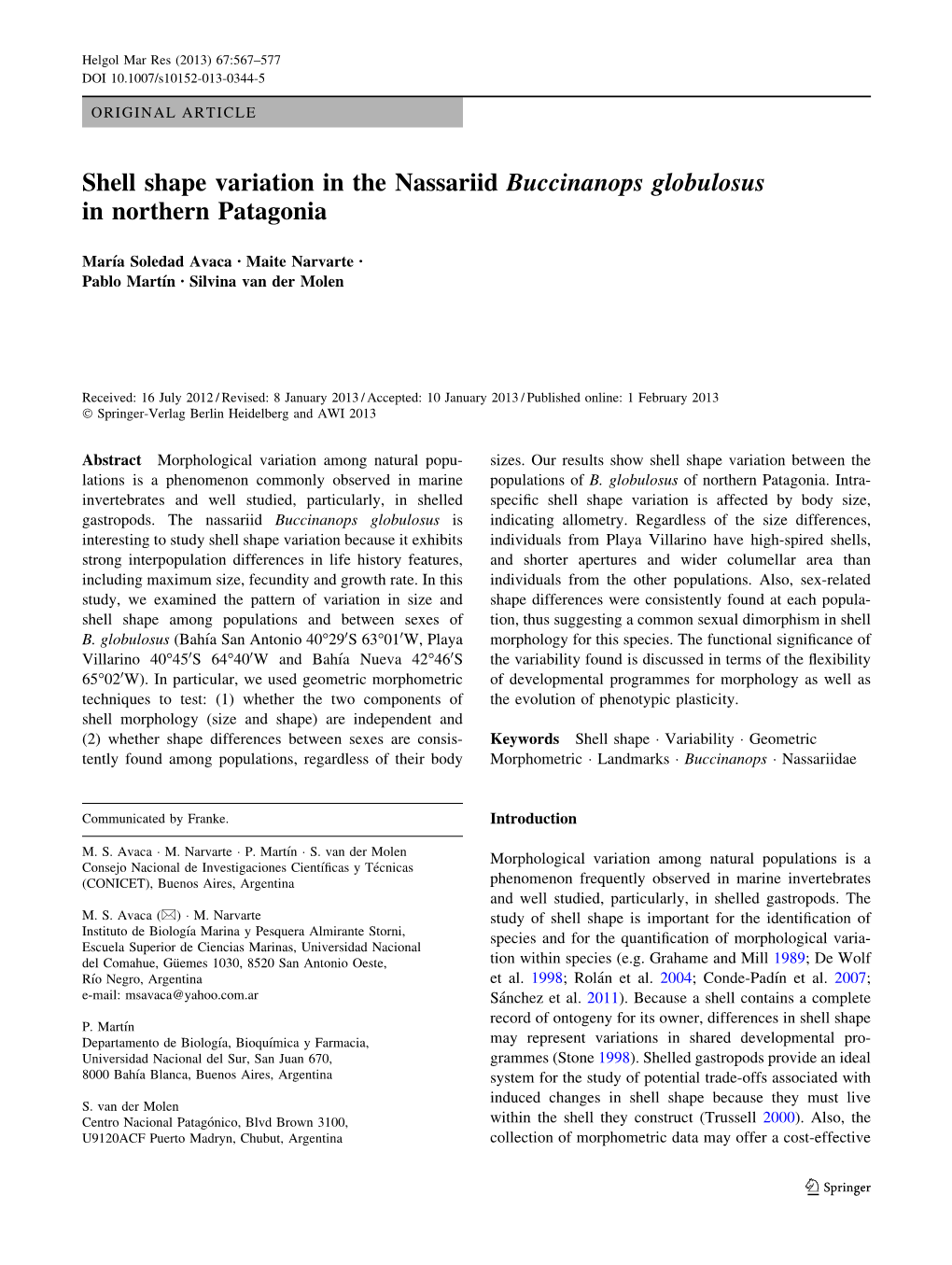 Shell Shape Variation in the Nassariid Buccinanops Globulosus in Northern Patagonia