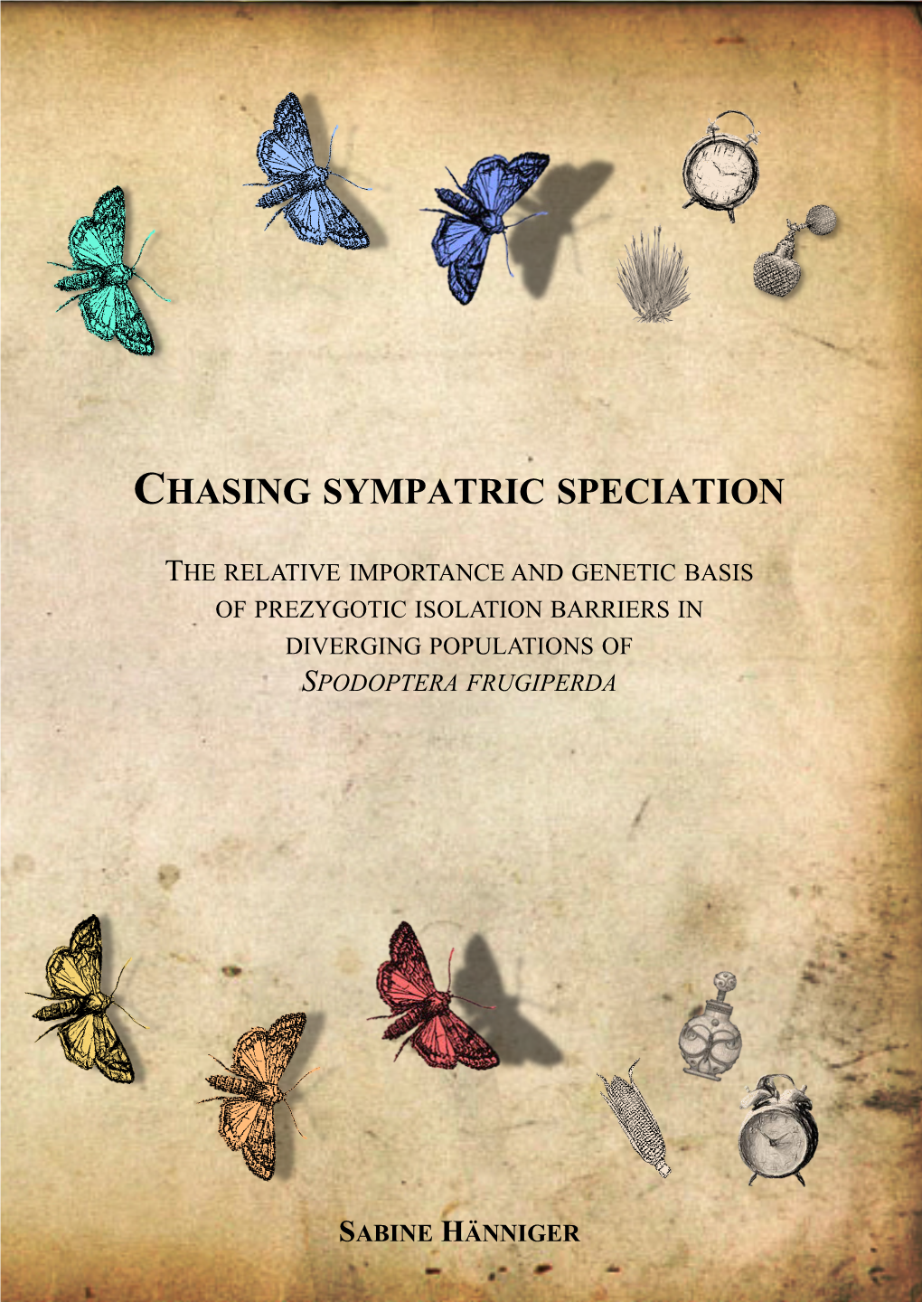Chasing Sympatric Speciation