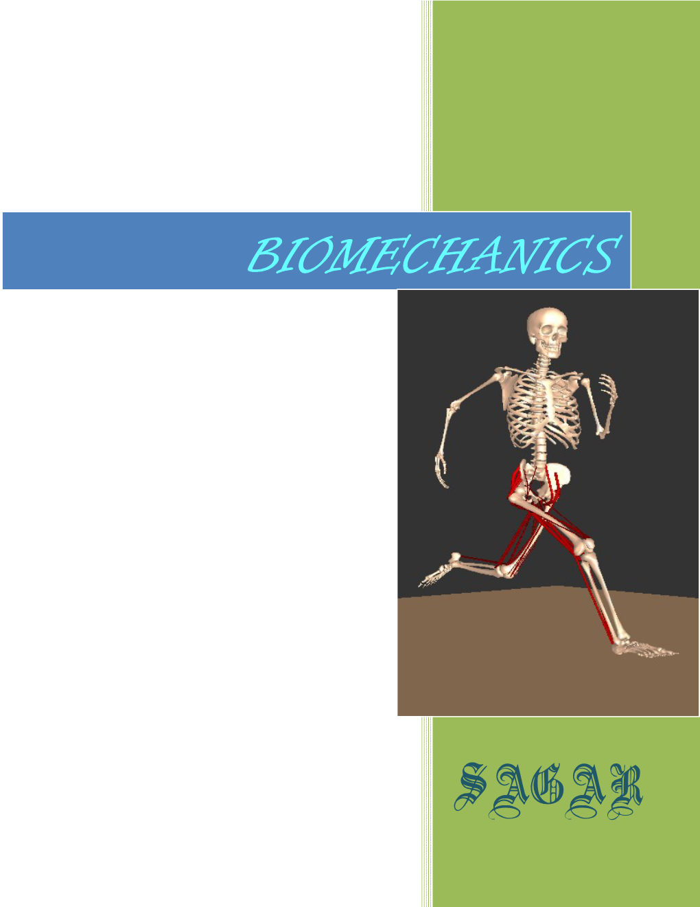 Biomechanics