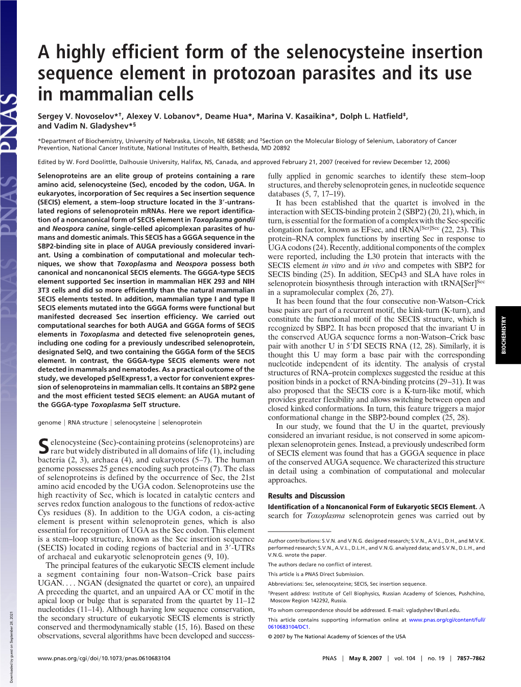 A Highly Efficient Form of the Selenocysteine Insertion Sequence Element in Protozoan Parasites and Its Use in Mammalian Cells