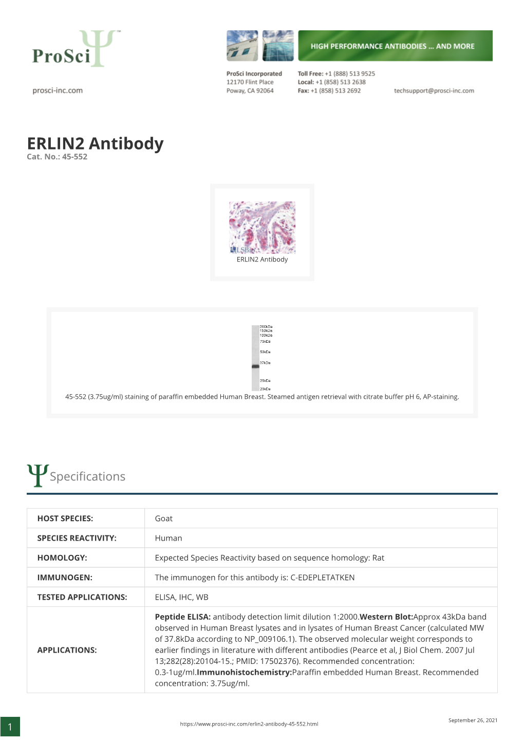 ERLIN2 Antibody Cat