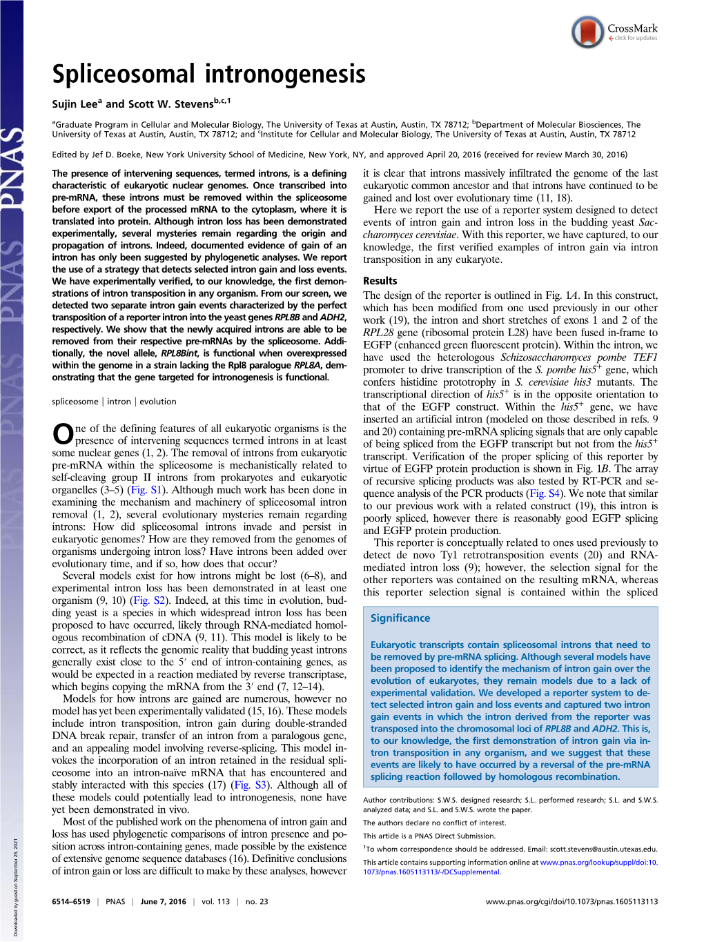 Spliceosomal Intronogenesis