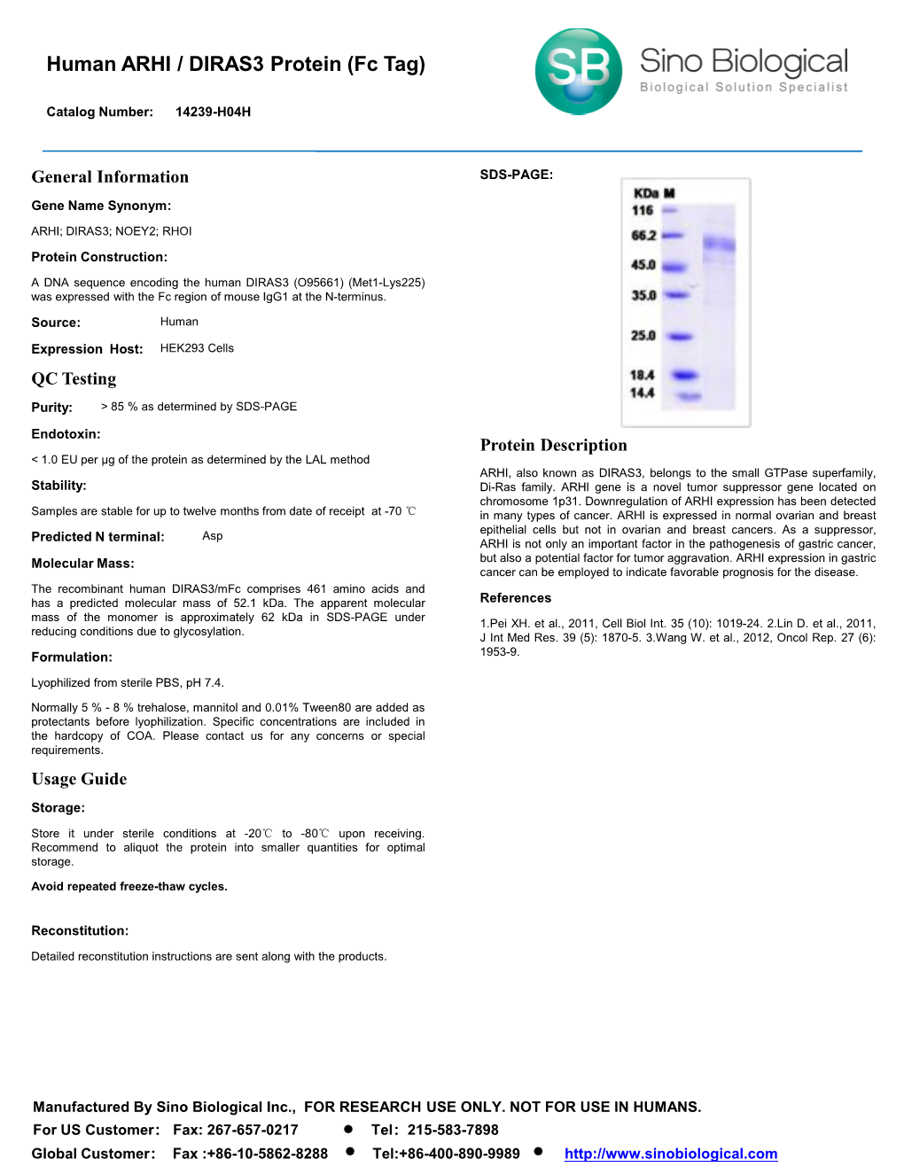 Human ARHI / DIRAS3 Protein (Fc Tag)