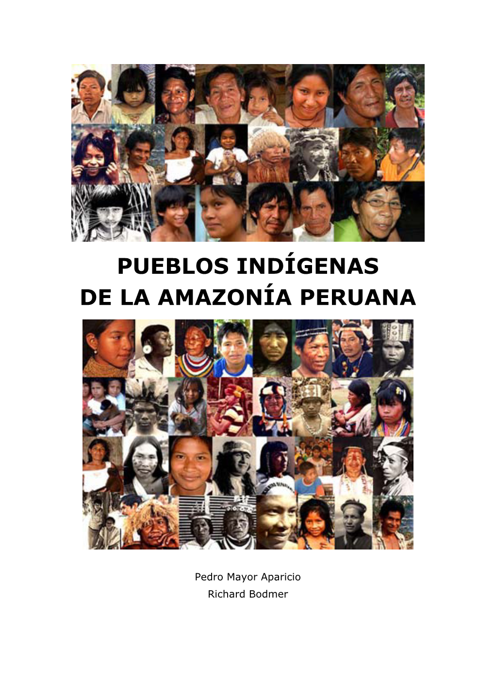 Pueblos Indígenas De La Amazonía Peruana