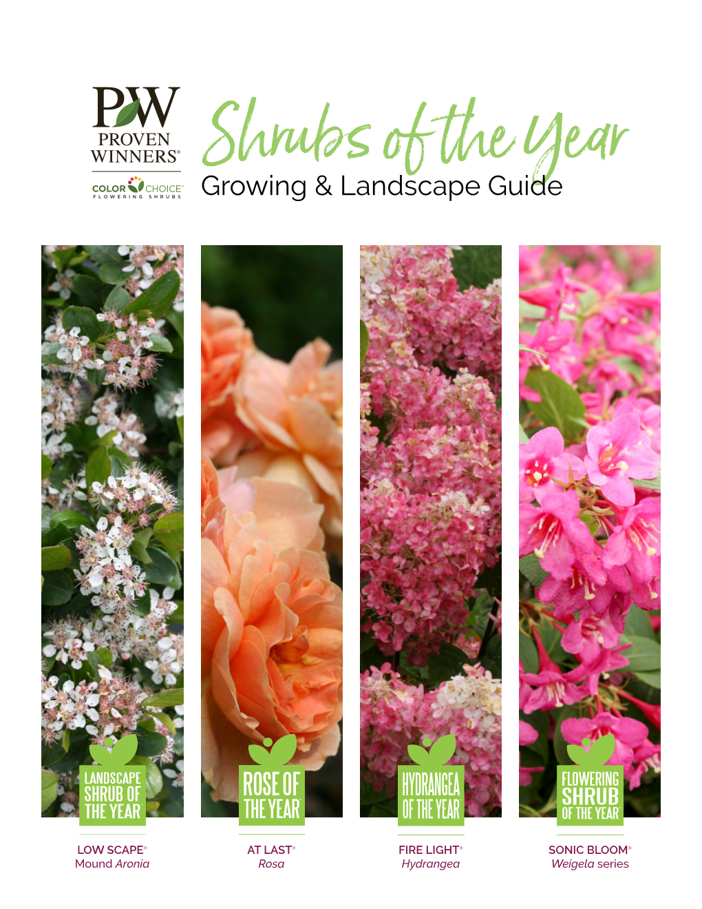 Shrubs of the Year