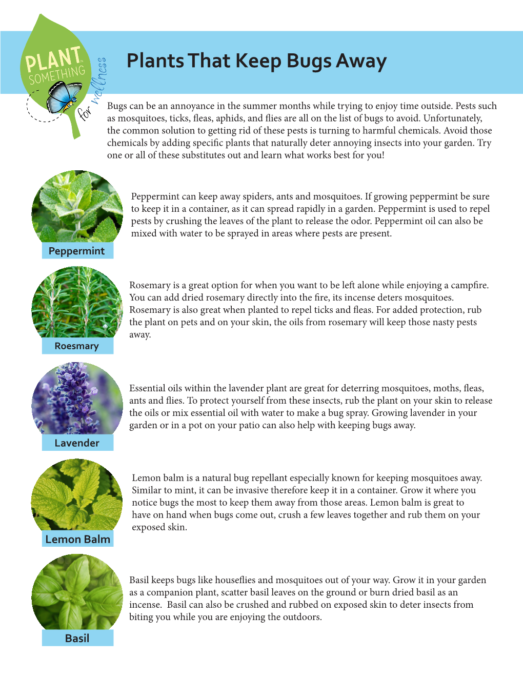 Plants That Keep Bugs Away