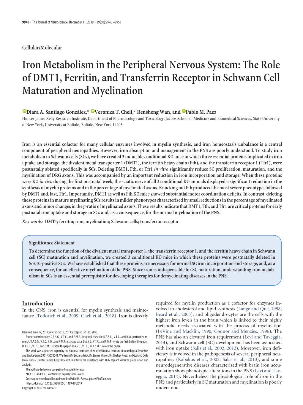 The Role of DMT1, Ferritin, and Transferrin Receptor in Schwann Cell Maturation and Myelination