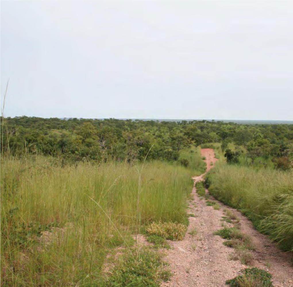 Biodiversité Au Burkina Faso 8 Biodiversity Conservation Strate- Gies in Burkina Faso