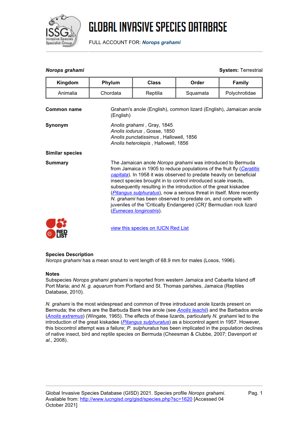 Norops Grahami Global Invasive Species Database (GISD)