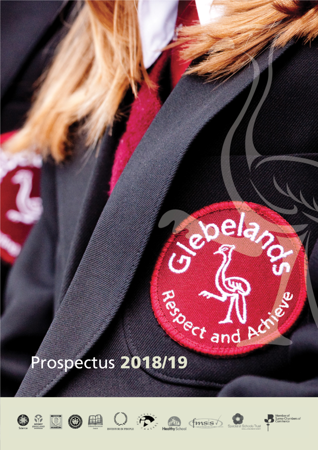 Prospectus 2018/19 at Glebelands We Constantly Strive to Achieve Our Personal Best: - in Learning - in Enrichment Activities - As Part of a Community
