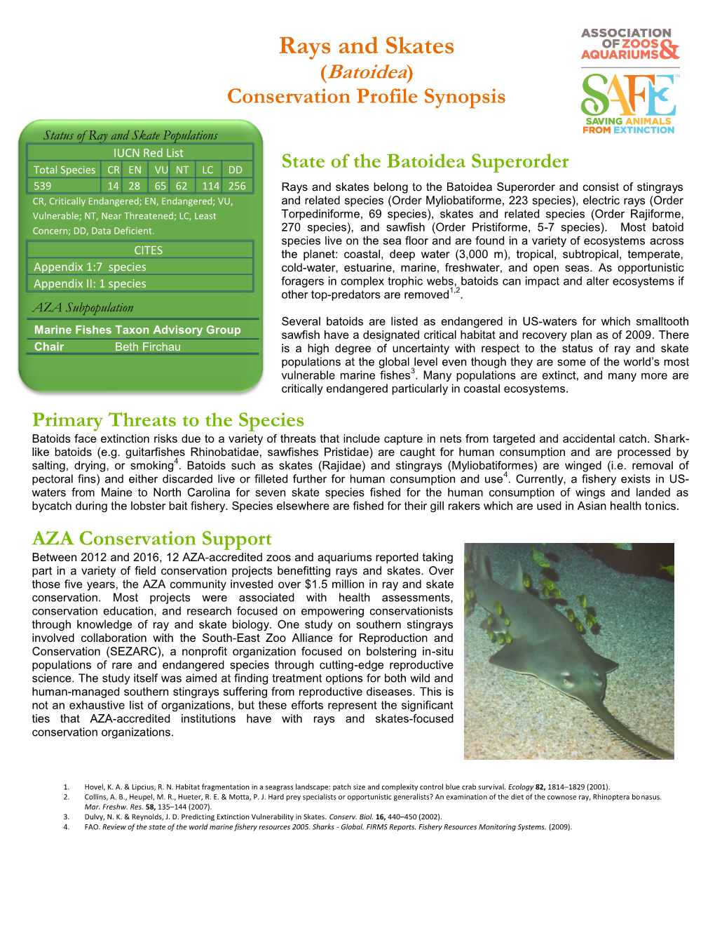 Rays and Skates (Batoidea) Conservation Profile Synopsis