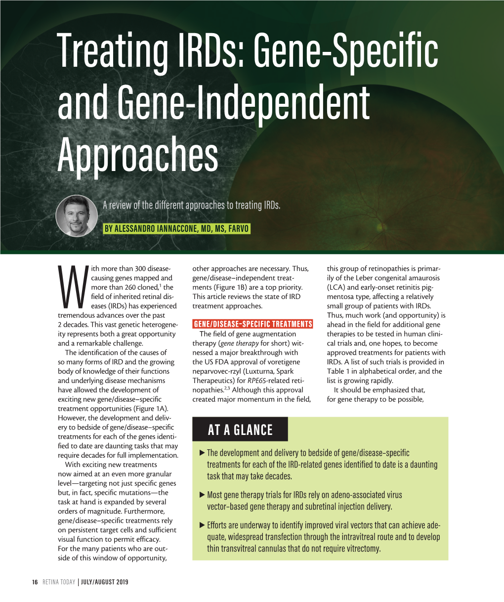 View of the Different Approaches to Treating Irds