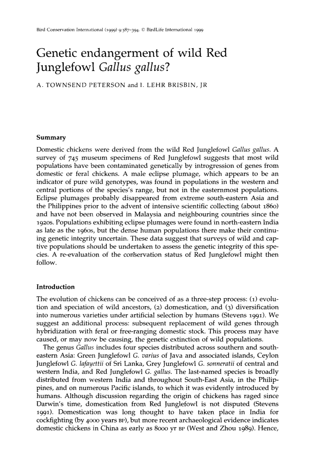 Genetic Endangerment of Wild Red Junglefowl Gallus Gallus?