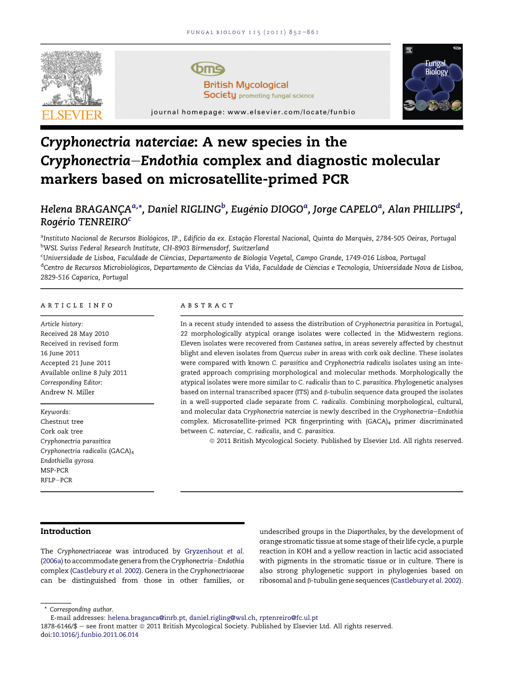 Cryphonectria Naterciae: a New Species in the Cryphonectria-Endothia Complex and Diagnostic Molecular Markers Based on Microsate