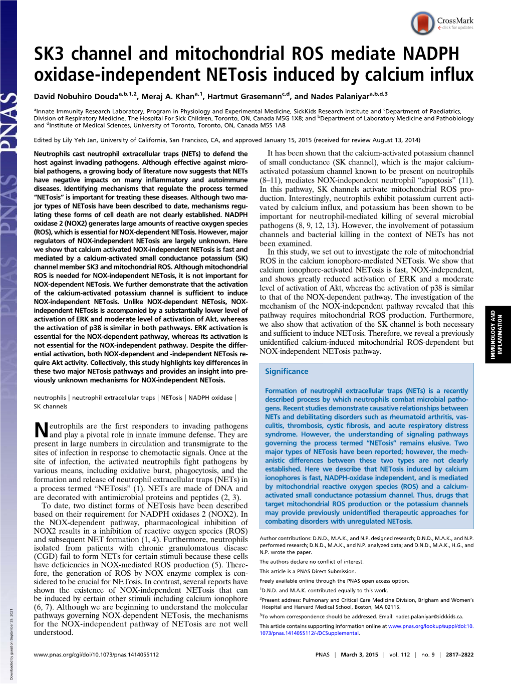 SK3 Channel and Mitochondrial ROS Mediate NADPH Oxidase-Independent Netosis Induced by Calcium Influx