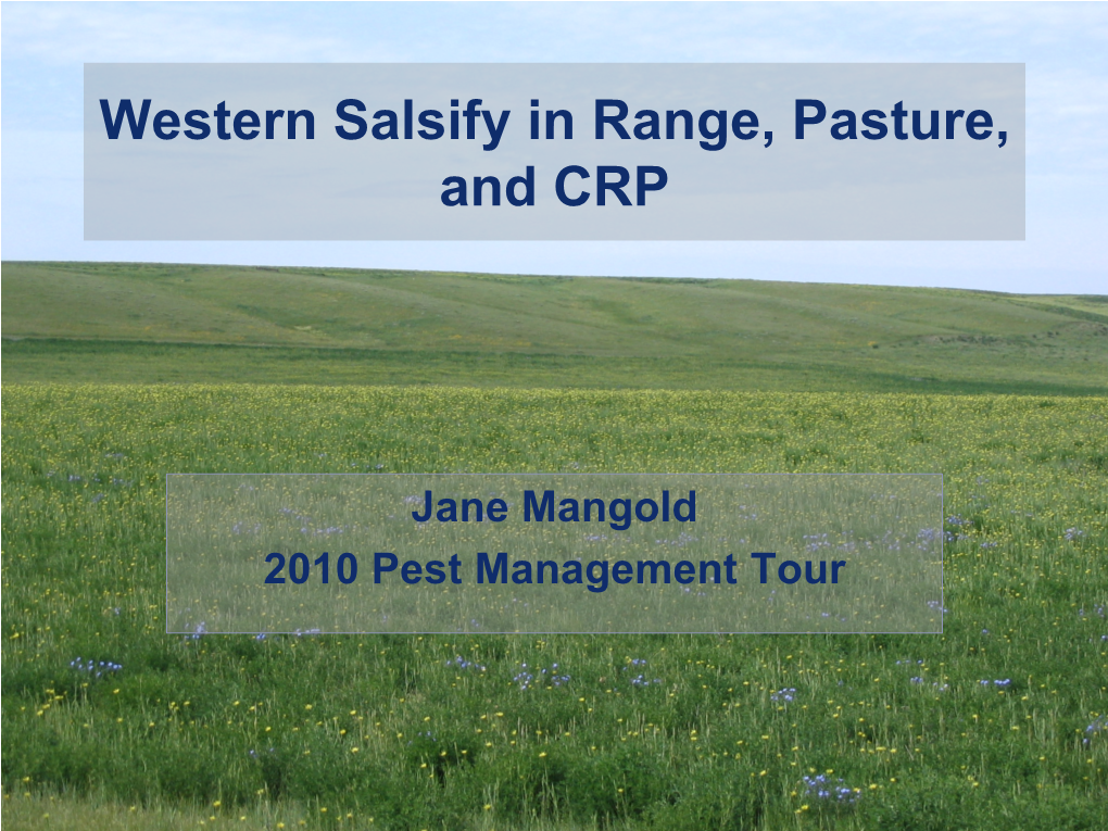 Western Salsify in Range, Pasture, and CRP