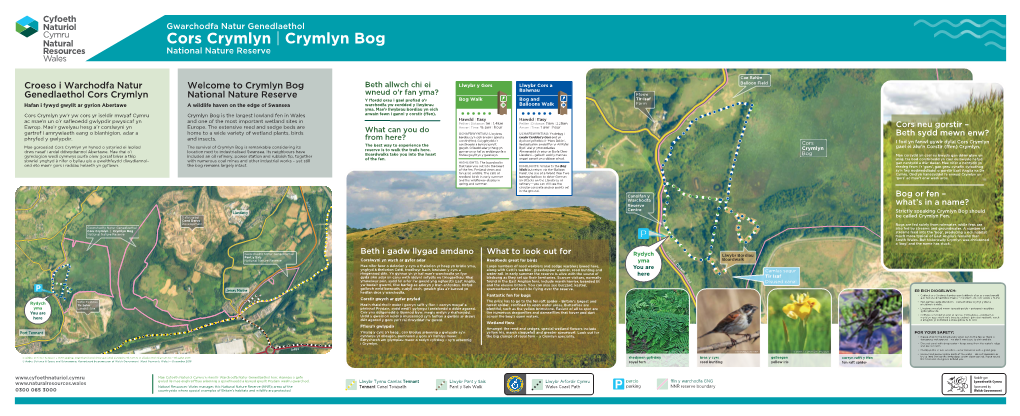 Crymlyn | Crymlyn Bog National Nature Reserve