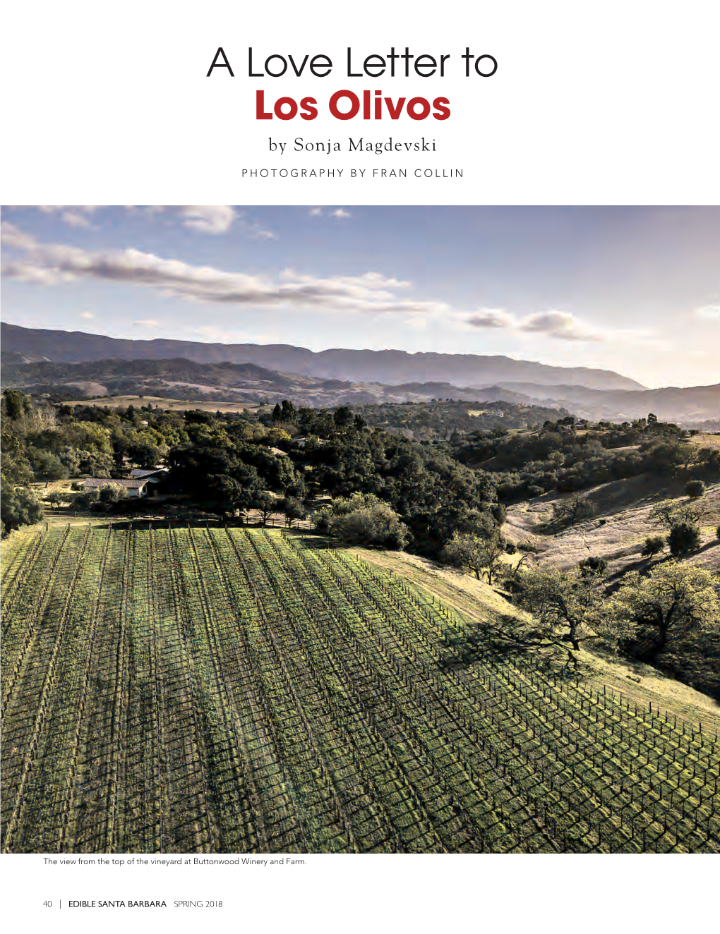 A Love Letter to Los Olivos by Sonja Magdevski