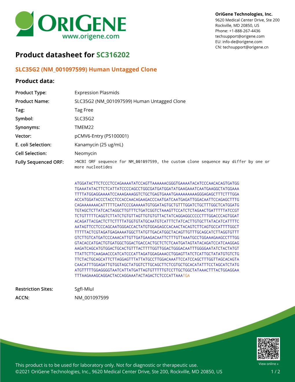 Human Untagged Clone – SC316202 | Origene