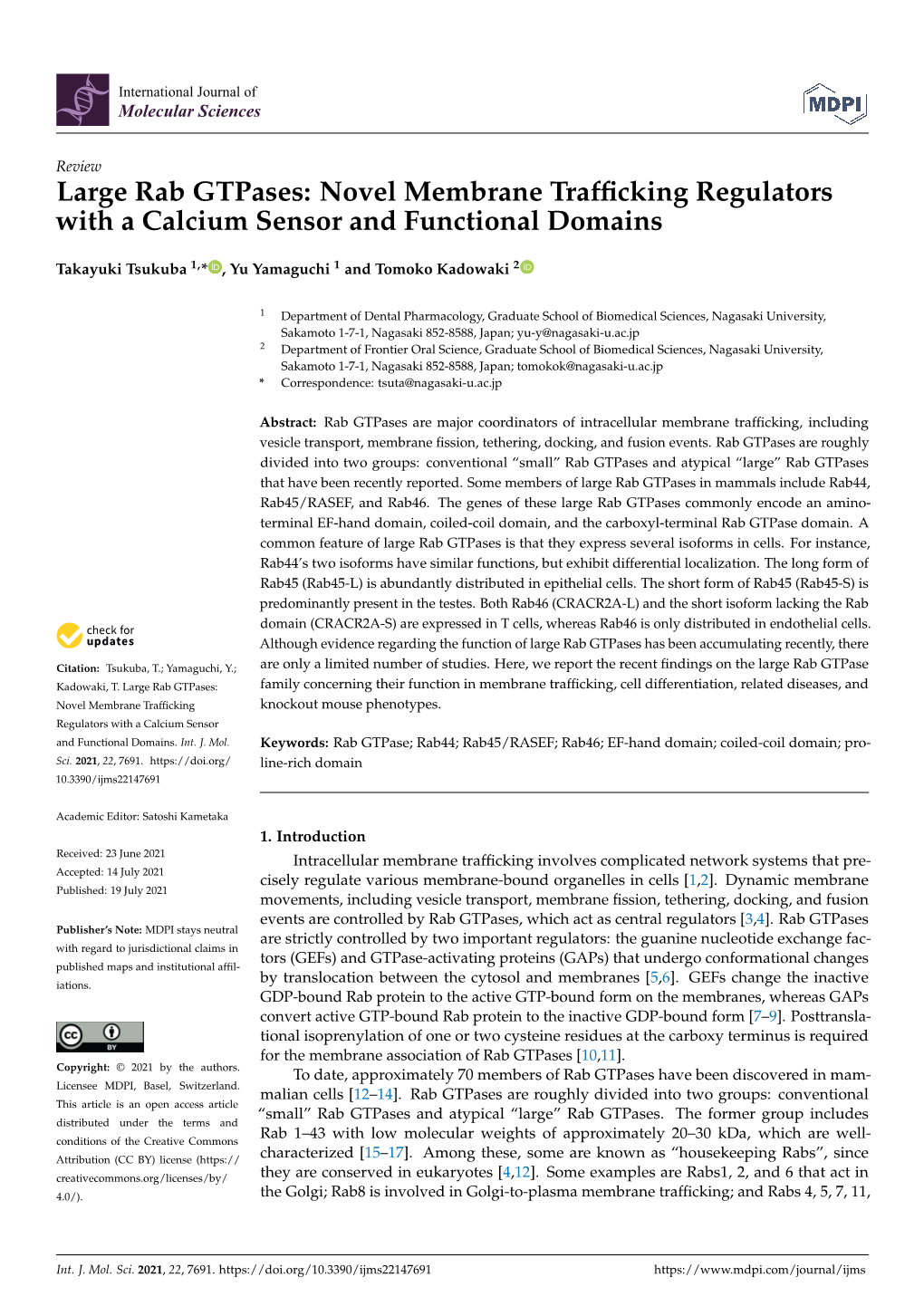 Large Rab Gtpases: Novel Membrane Trafficking Regulators with a Calcium Sensor and Functional Domains