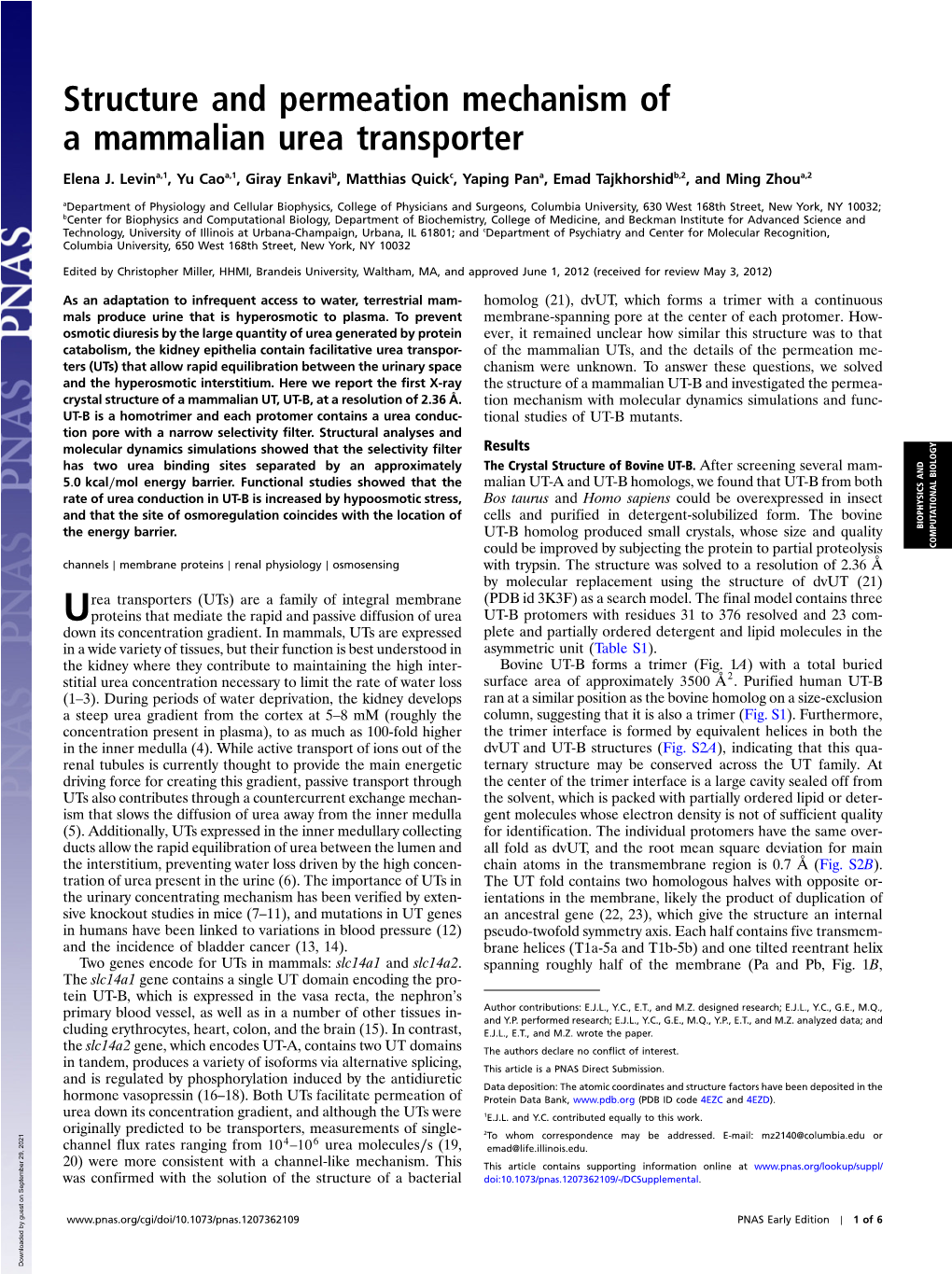 Structure and Permeation Mechanism of a Mammalian Urea Transporter