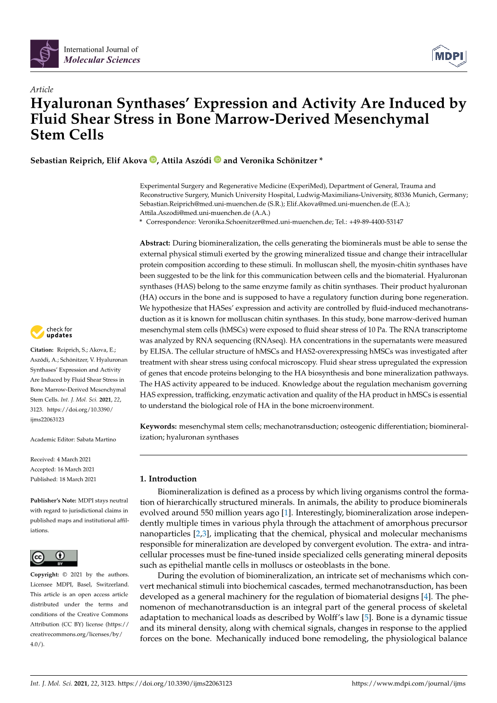 Hyaluronan Synthases' Expression and Activity Are Induced by Fluid Shear Stress in Bone Marrow-Derived Mesenchymal Stem Cells