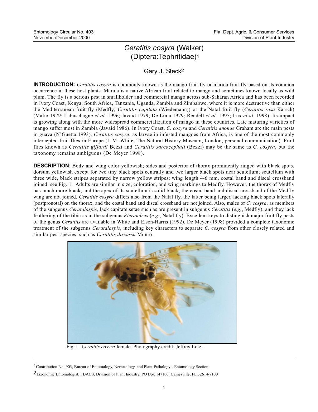 Ceratitis Cosyra (Walker) (Diptera:Tephritidae)1